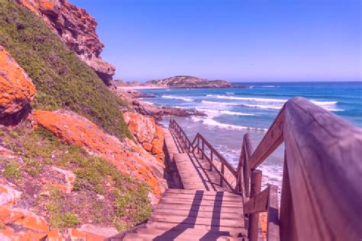escort Plettenberg Bay
