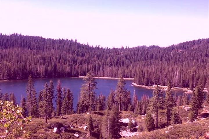 escort Plumas Lake