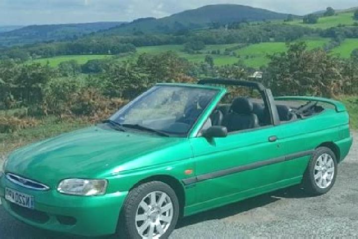 escort Plumpton Green
