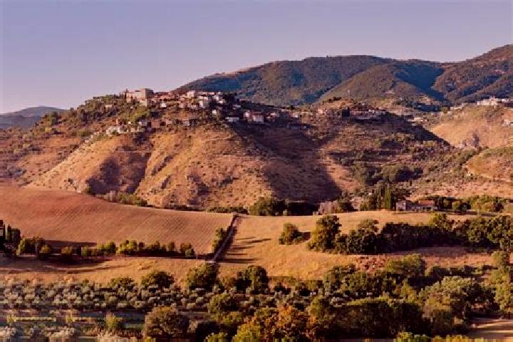 escort Poggio Catino