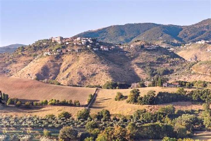 escort Poggio San Lorenzo