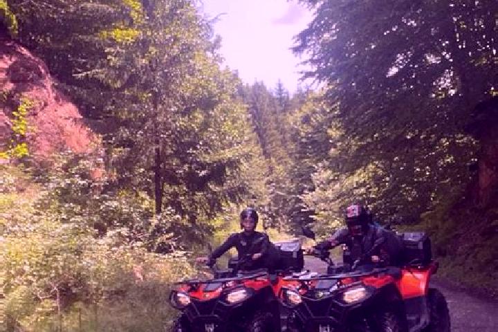 escort Poiana lui Stanga