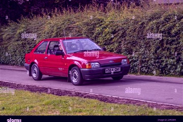 escort Polesine