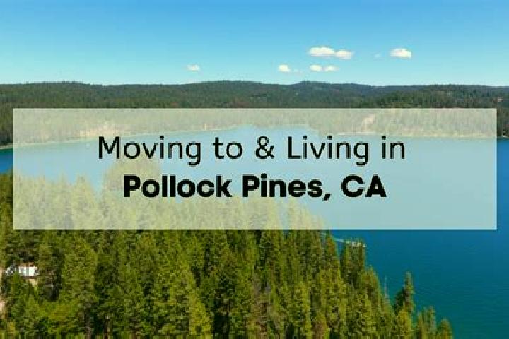 escort Pollock Pines