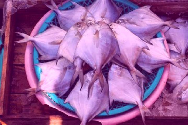 escort Pomfret