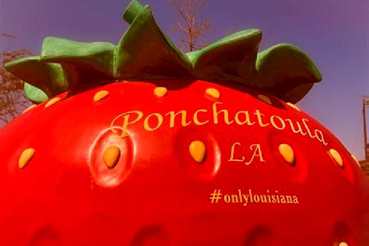 escort Ponchatoula