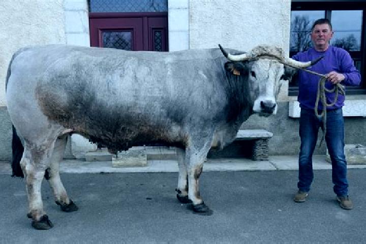 escort Ponlat-Taillebourg