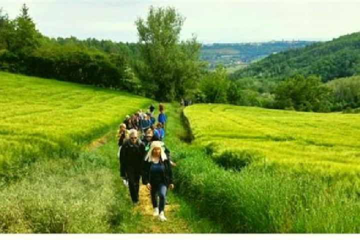escort Ponzano Monferrato