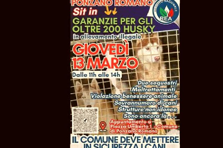 escort Ponzano Romano