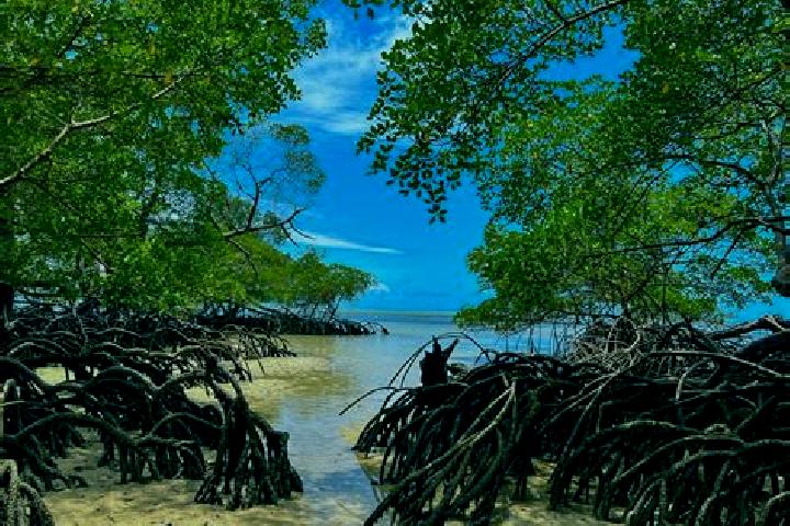 escort Porto do Mangue