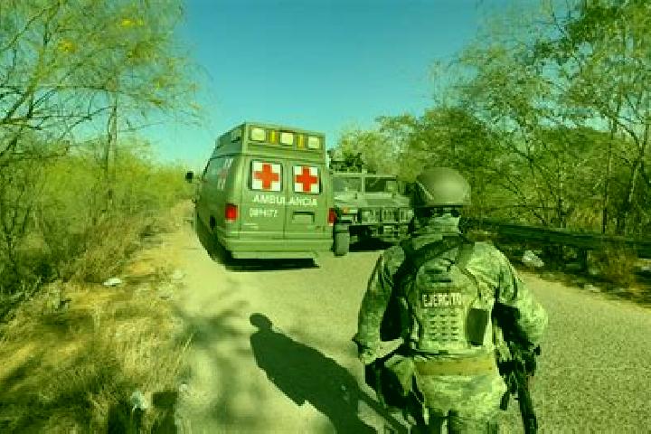 escort Potrerillo del Norote