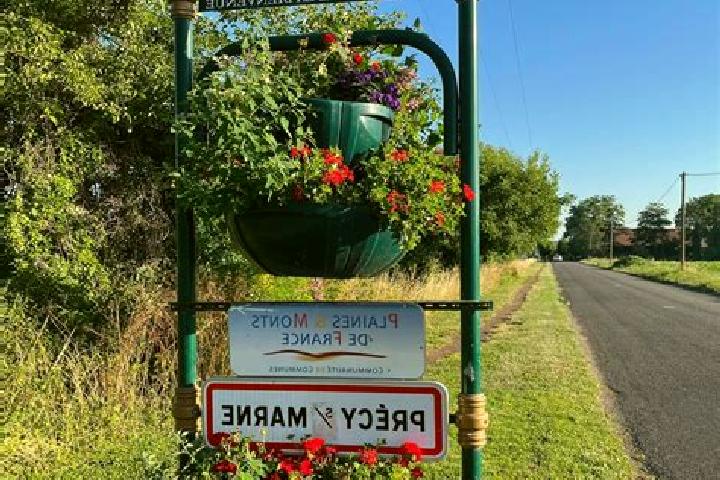 escort Precy-sur-Marne