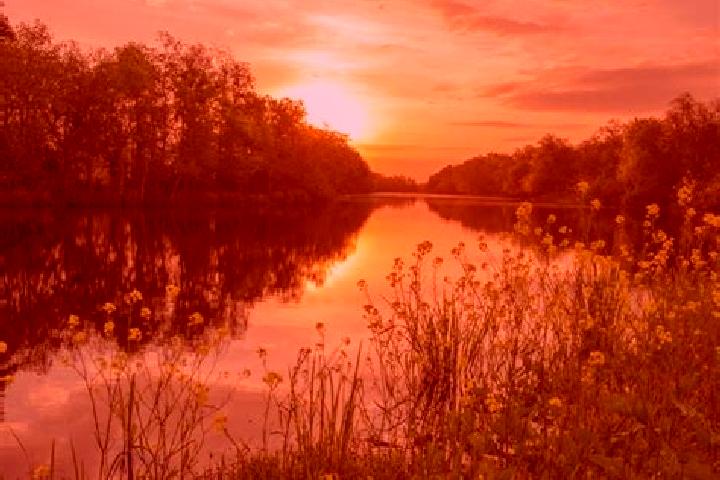 escort Pretty Bayou