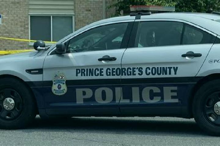 escort Prince George