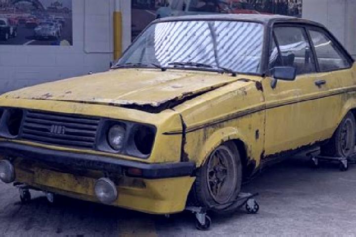 escort Provadia
