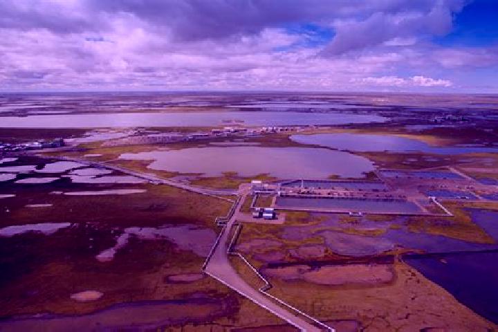 escort Prudhoe Bay