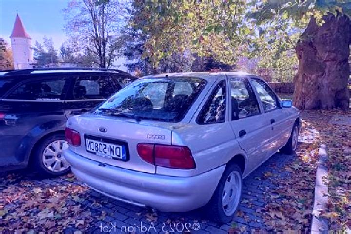 escort Przeciszow