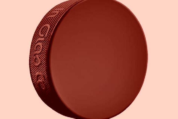 escort Puck