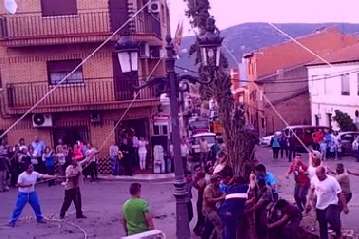escort Puebla de Don Rodrigo