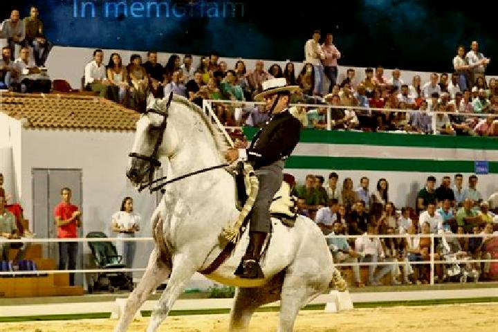 escort Puebla de Guzman