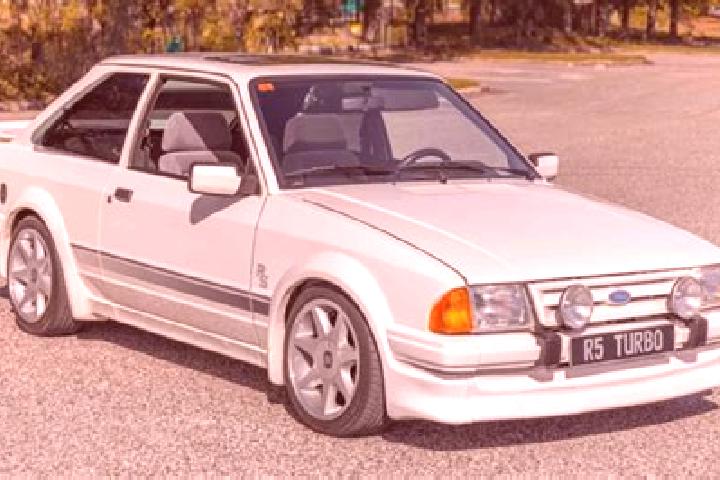 escort Puelay