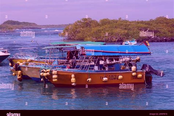 escort Puerto Villamil