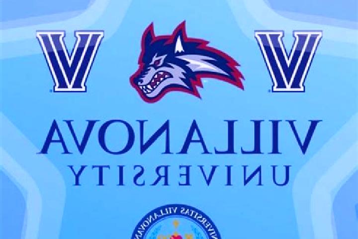 escort Puia-Villanova