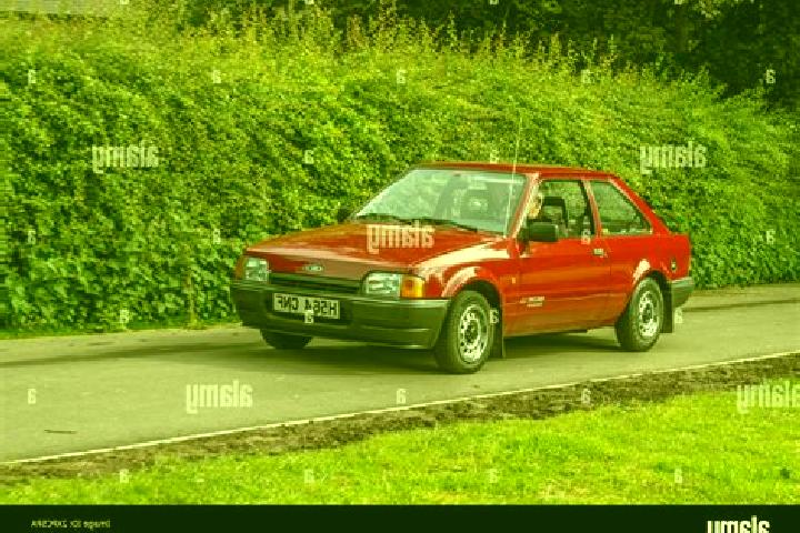 escort Pulsnitz
