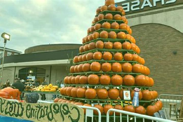 escort Pumpkin Center