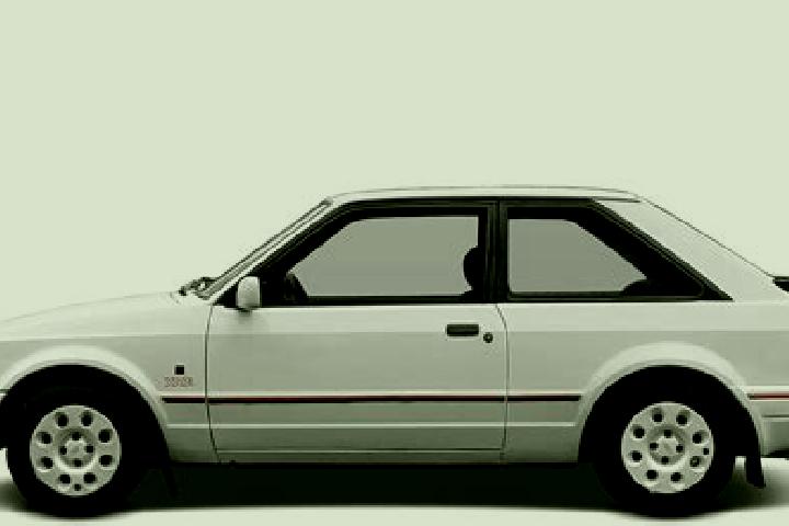 escort Puning