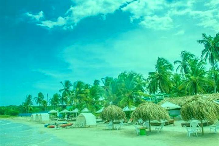 escort Punta Arena