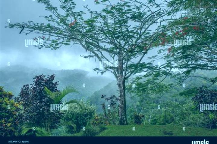 escort Puntarenas