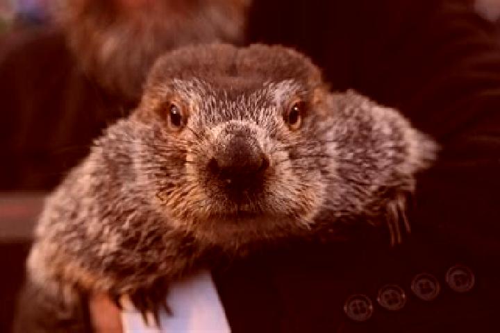 escort Punxsutawney