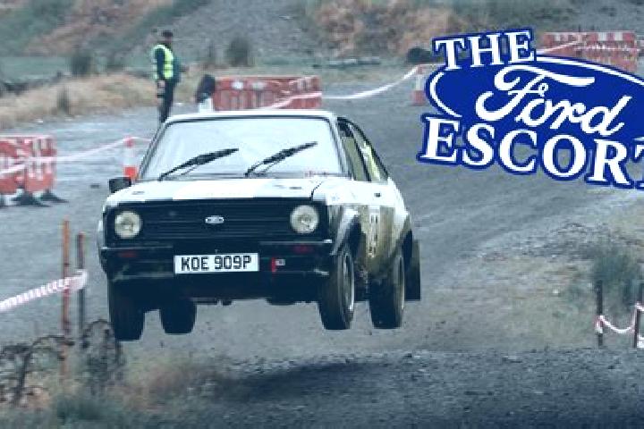 escort Pure