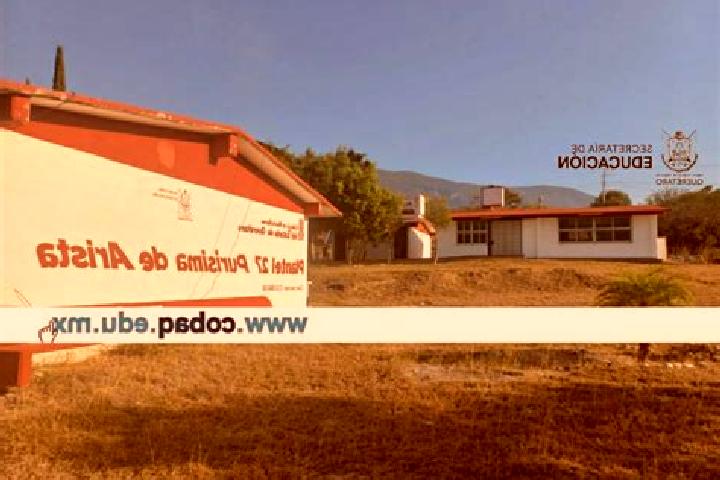 escort Purisima de Arista