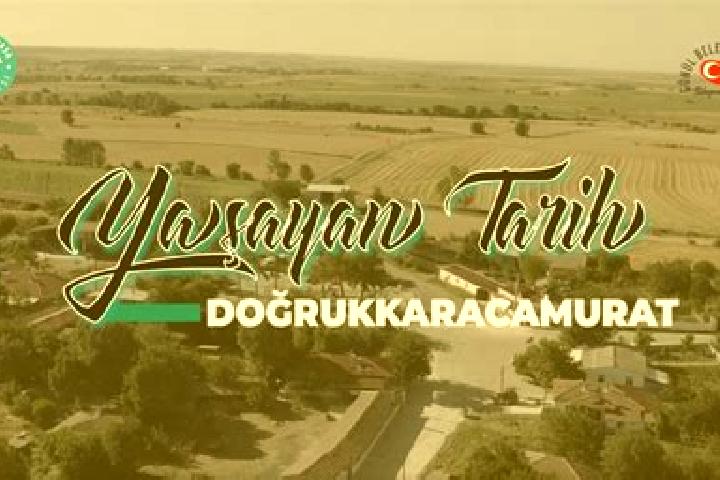 escort Pursaklar