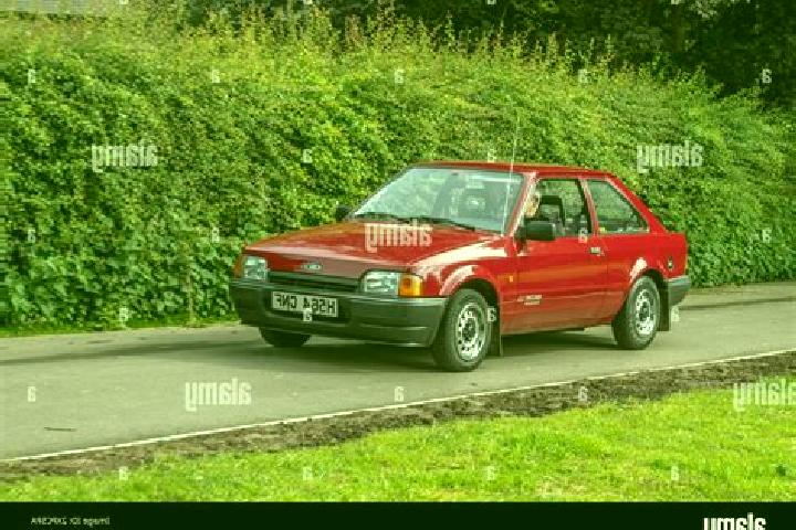 escort Pusu