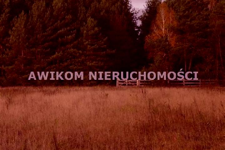 escort Puszcza Marianska