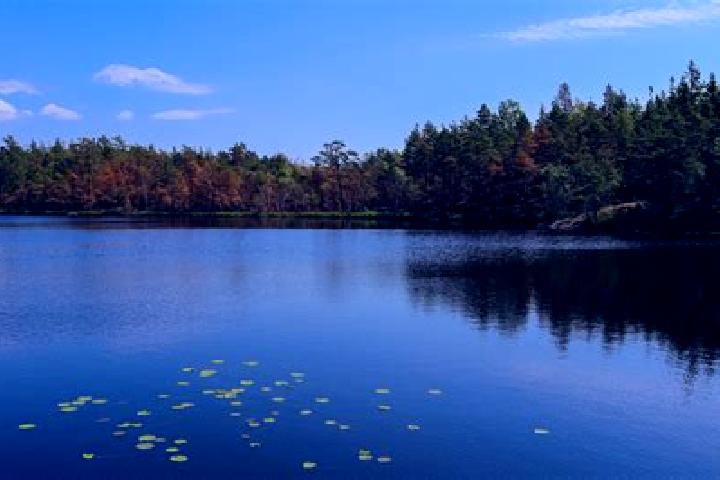 escort Putnam Lake