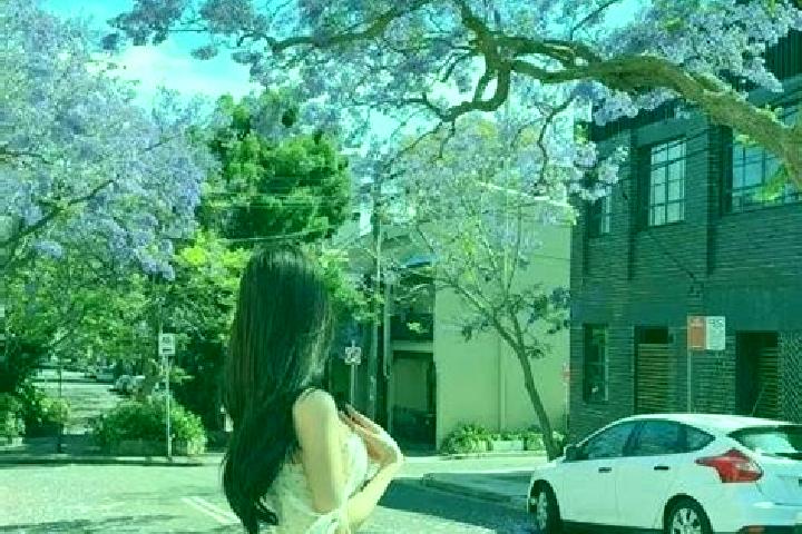 escort Pyrmont