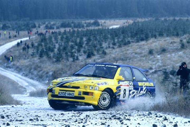escort Qillin