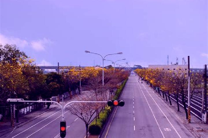escort Qizhou