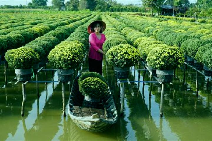 escort Quan Muoi
