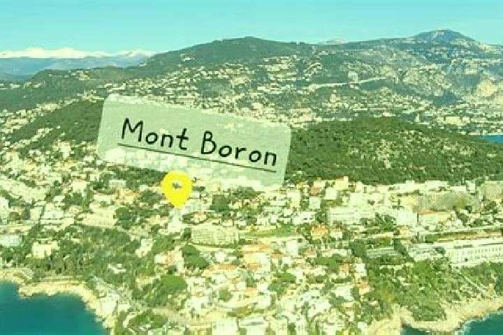 escort Quartier de Mont-Boron