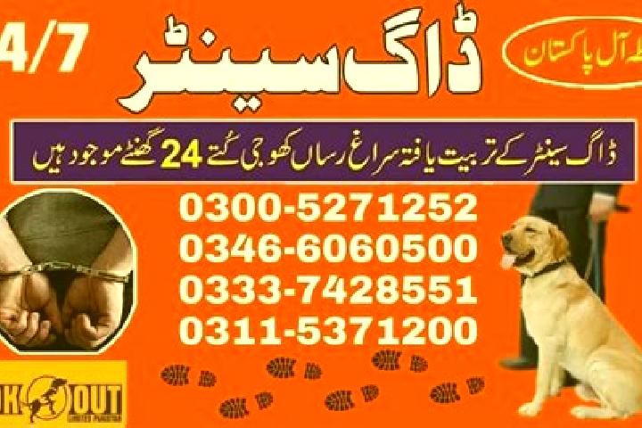 escort Qubo Saeed Khan