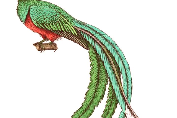 escort Quetzal Edzna