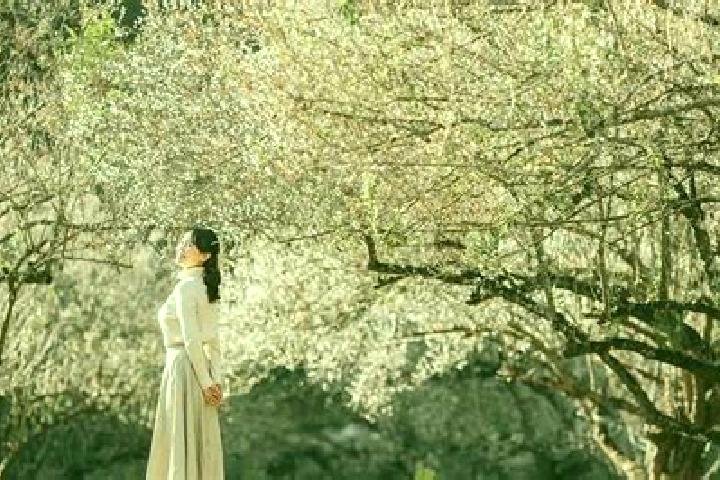 escort Quy Chau