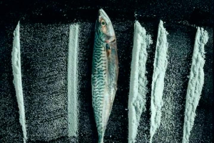 escort Rabo de Peixe