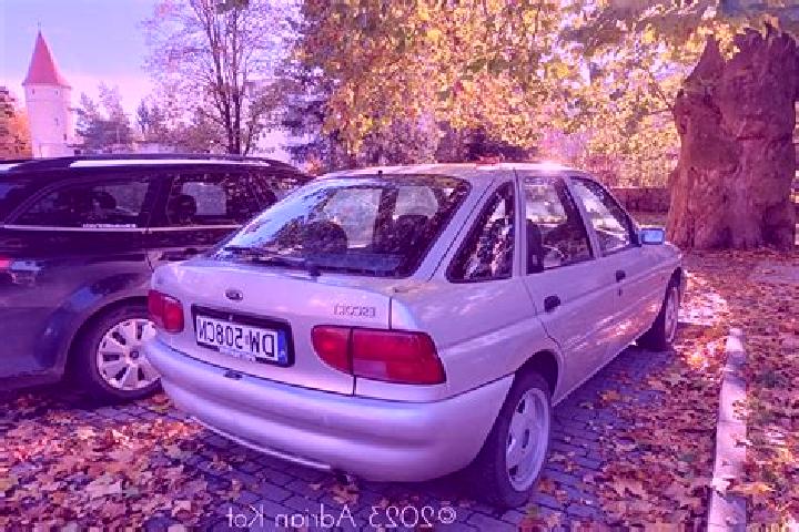 escort Radeni