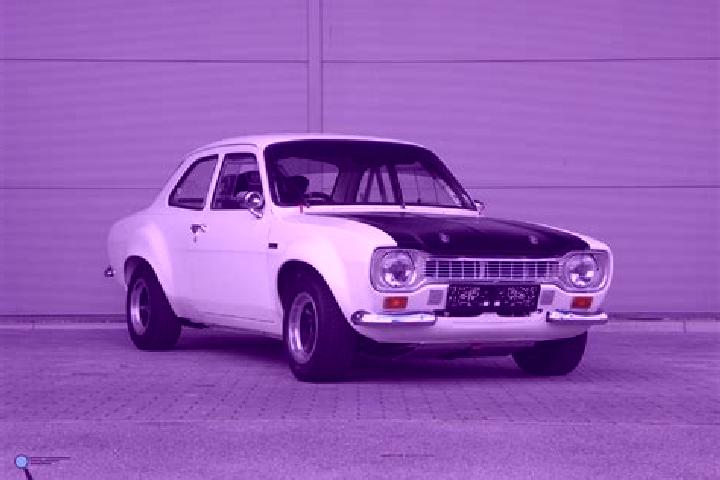 escort Radovin